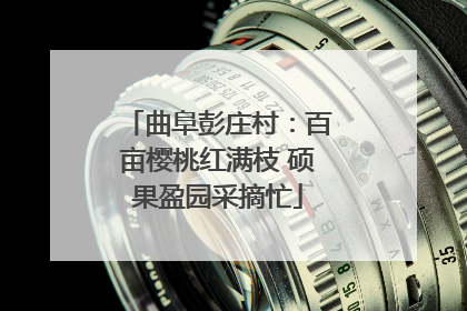 曲阜彭庄村：百亩樱桃红满枝 硕果盈园采摘忙