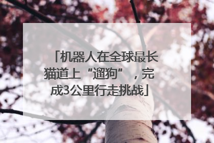 机器人在全球最长猫道上“遛狗”，完成3公里行走挑战