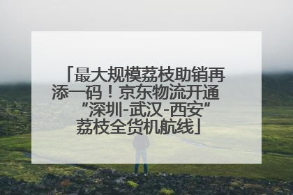 最大规模荔枝助销再添一码！京东物流开通“深圳-武汉-西安” 荔枝全货机航线