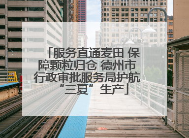 服务直通麦田 保障颗粒归仓 德州市行政审批服务局护航“三夏”生产