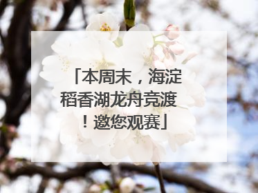 本周末，海淀稻香湖龙舟竞渡！邀您观赛