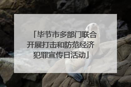 毕节市多部门联合开展打击和防范经济犯罪宣传日活动