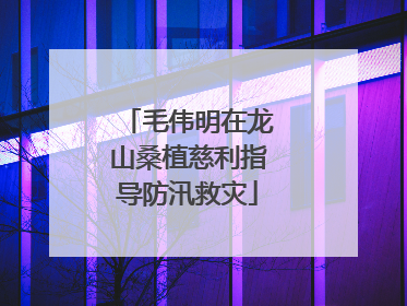 毛伟明在龙山桑植慈利指导防汛救灾