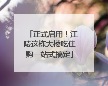 正式启用！江陵这栋大楼吃住购一站式搞定