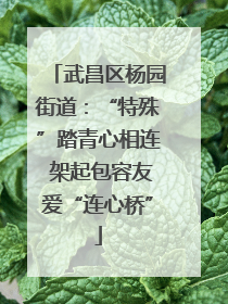 武昌区杨园街道：“特殊”踏青心相连 架起包容友爱“连心桥”