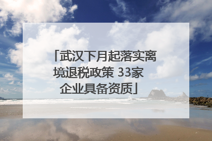 武汉下月起落实离境退税政策 33家企业具备资质