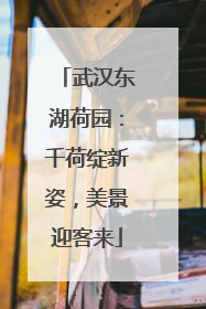 武汉东湖荷园：千荷绽新姿，美景迎客来