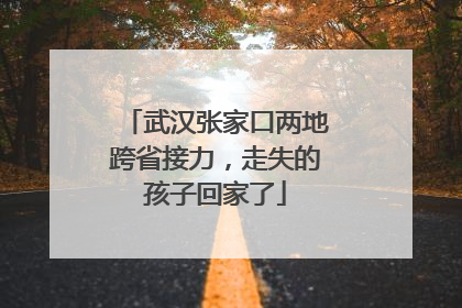 武汉张家口两地跨省接力，走失的孩子回家了
