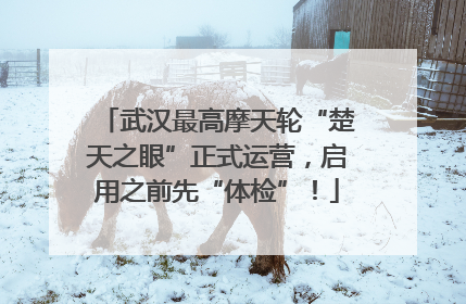 武汉最高摩天轮“楚天之眼”正式运营，启用之前先“体检”！
