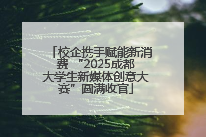 校企携手赋能新消费 “2025成都大学生新媒体创意大赛”圆满收官