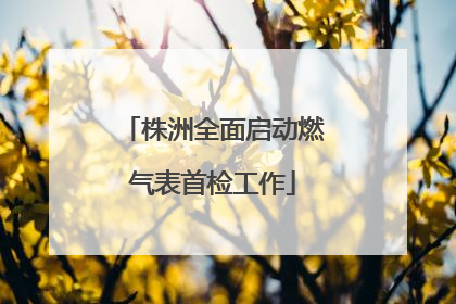 株洲全面启动燃气表首检工作
