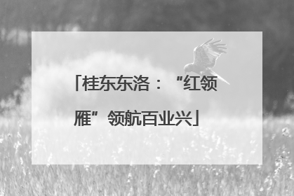 桂东东洛：“红领雁”领航百业兴