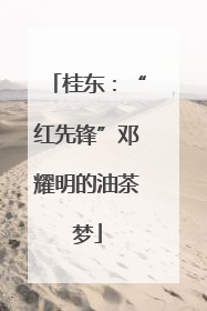 桂东：“红先锋”邓耀明的油茶梦