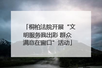 桐柏法院开展“文明服务我出彩 群众满意在窗口”活动