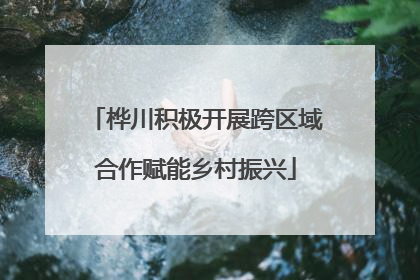 桦川积极开展跨区域合作赋能乡村振兴
