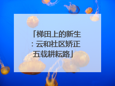 梯田上的新生：云和社区矫正五载耕耘路