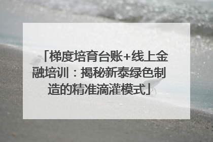 梯度培育台账+线上金融培训：揭秘新泰绿色制造的精准滴灌模式