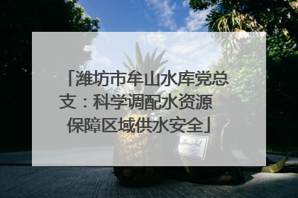 潍坊市牟山水库党总支：科学调配水资源 保障区域供水安全