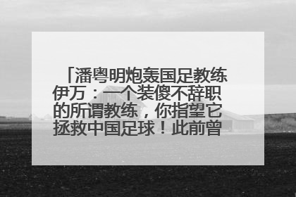 潘粤明炮轰国足教练伊万：一个装傻不辞职的所谓教练，你指望它拯救中国足球！此前曾多次发文评价国足