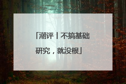潮评丨不搞基础研究，就没根