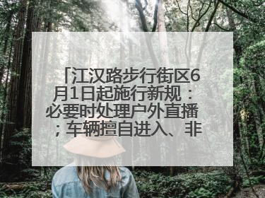 江汉路步行街区6月1日起施行新规：必要时处理户外直播；车辆擅自进入、非机动车任意停放的，依法处理