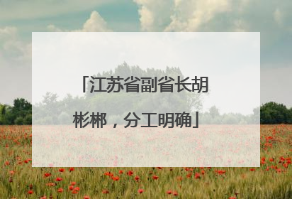 江苏省副省长胡彬郴，分工明确