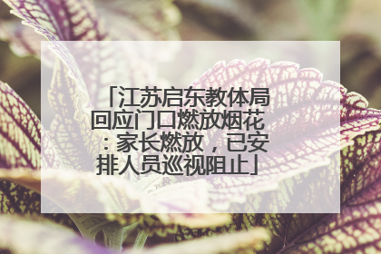 江苏启东教体局回应门口燃放烟花：家长燃放，已安排人员巡视阻止