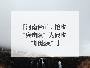 河南台前：抢收“突击队”为夏收“加速度”