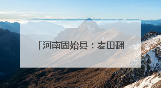 河南固始县：麦田翻金浪 抢收保归仓