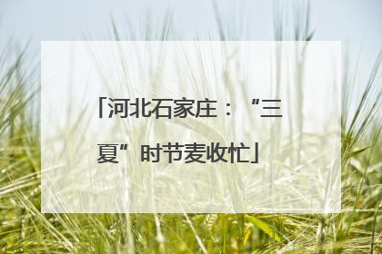 河北石家庄：“三夏”时节麦收忙