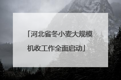 河北省冬小麦大规模机收工作全面启动