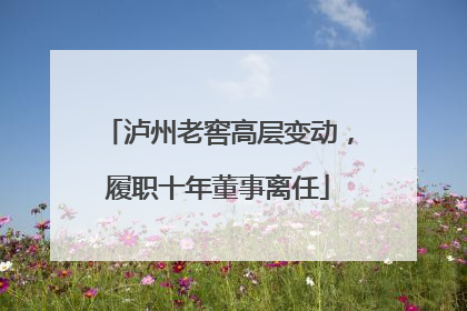 泸州老窖高层变动，履职十年董事离任