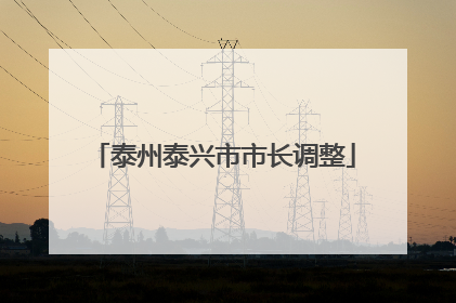 泰州泰兴市市长调整