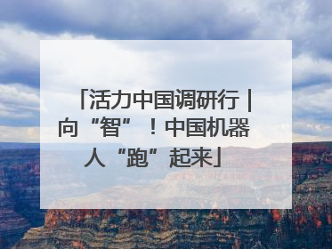 活力中国调研行｜向“智”！中国机器人“跑”起来
