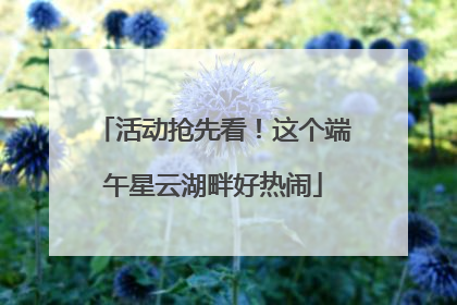 活动抢先看！这个端午星云湖畔好热闹