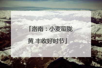 洛南：小麦覆陇黄 丰收好时节