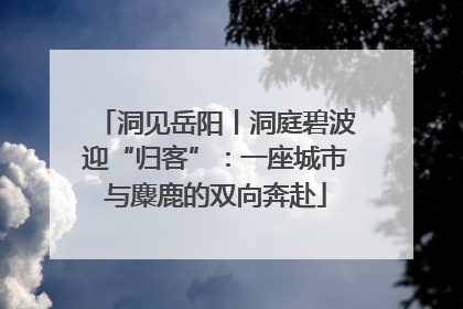 洞见岳阳丨洞庭碧波迎“归客”：一座城市与麋鹿的双向奔赴