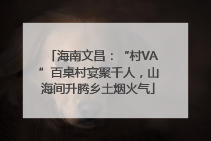 海南文昌：“村VA”百桌村宴聚千人，山海间升腾乡土烟火气