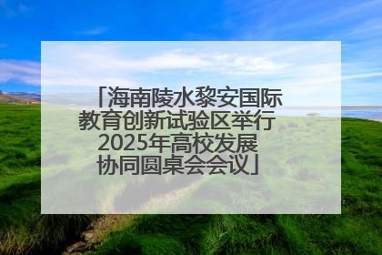 海南陵水黎安国际教育创新试验区举行2025年高校发展协同圆桌会会议
