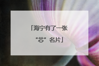 海宁有了一张“芯”名片