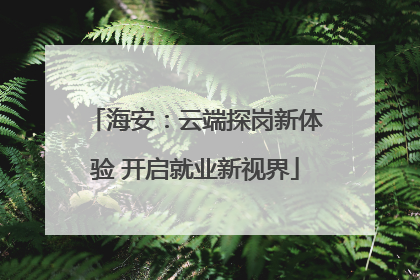 海安：云端探岗新体验 开启就业新视界