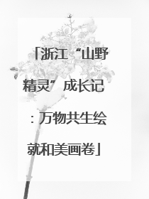 浙江“山野精灵”成长记：万物共生绘就和美画卷