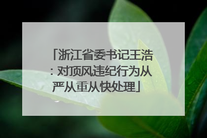 浙江省委书记王浩：对顶风违纪行为从严从重从快处理