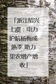浙江绍兴上虞：电力护航杨梅成熟季 助力果农增产增收