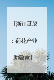 浙江武义：荷花产业助致富