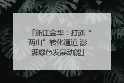 浙江金华：打通“两山”转化通道 澎湃绿色发展动能