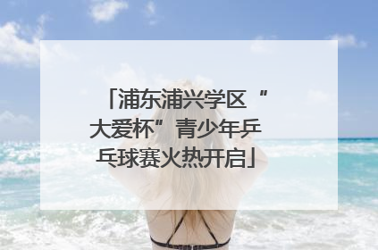 浦东浦兴学区“大爱杯”青少年乒乓球赛火热开启
