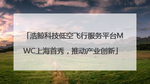 浩鲸科技低空飞行服务平台MWC上海首秀，推动产业创新
