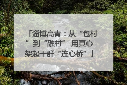 淄博高青：从“包村”到“融村” 用真心架起干群“连心桥”