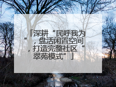 深耕“民呼我为”，盘活闲置空间，打造完整社区“翠苑模式”